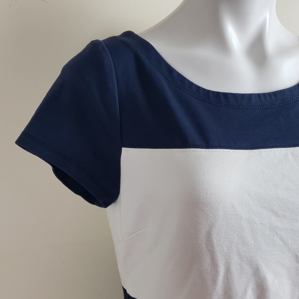 Banana Republic Navy & White Striped Dress - Picture 4 of 12